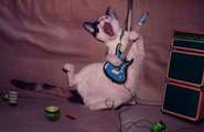 envoyer la musique!!!